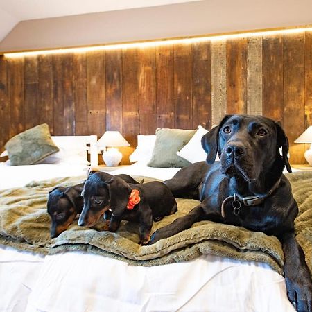 Kings Arms Hotel Penzance Ngoại thất bức ảnh