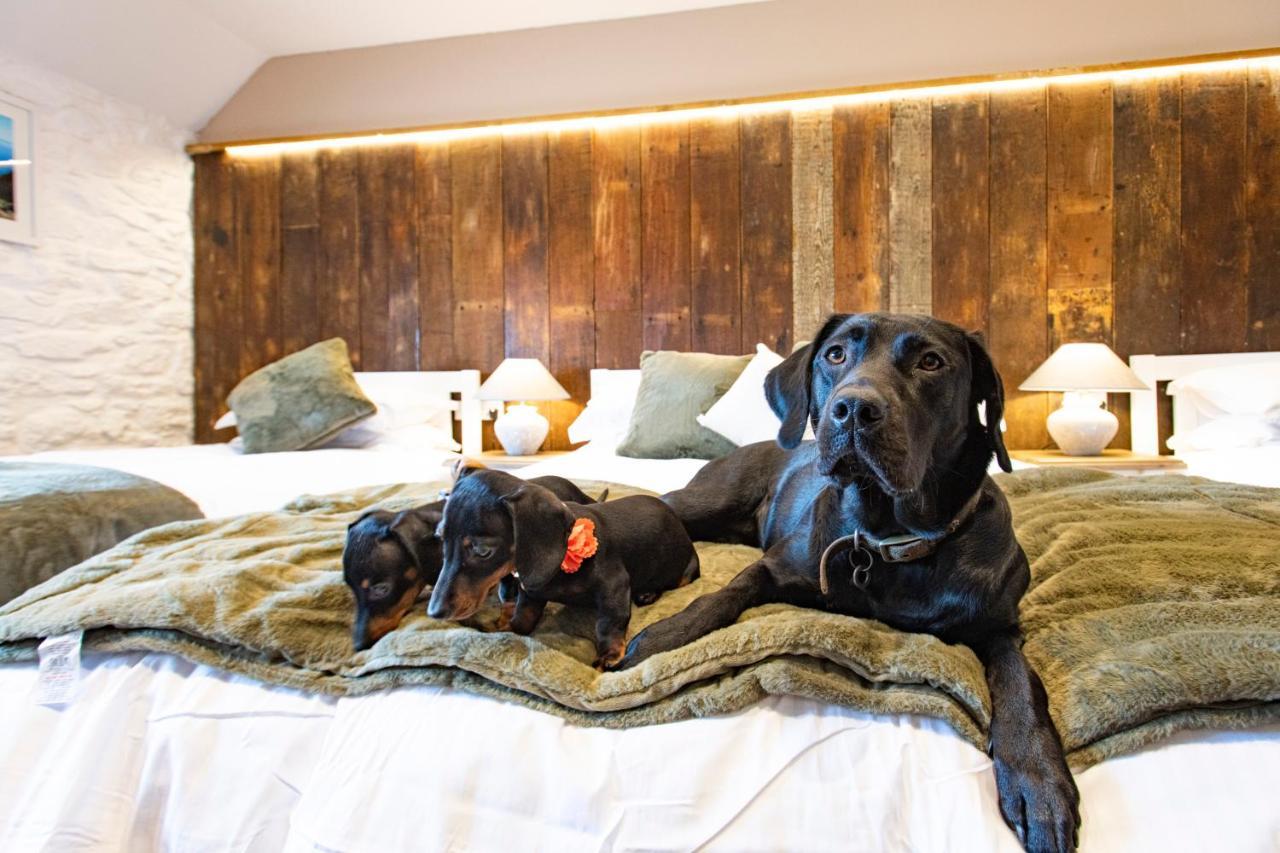 Kings Arms Hotel Penzance Ngoại thất bức ảnh